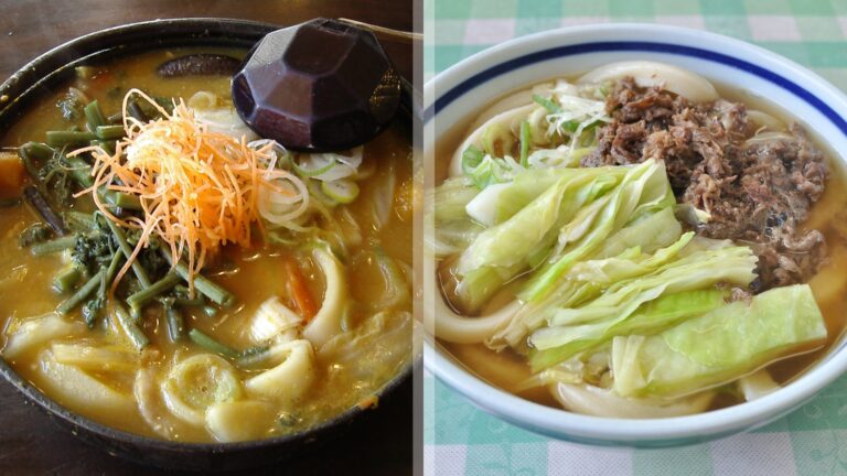 Hoto and Yoshida udon noodle dishes compared for travelers
