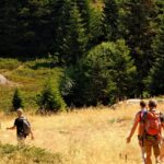 Group of hikers on a mountain trail for a travel update about Mt. Fuji Shizuoka-side climbing rules