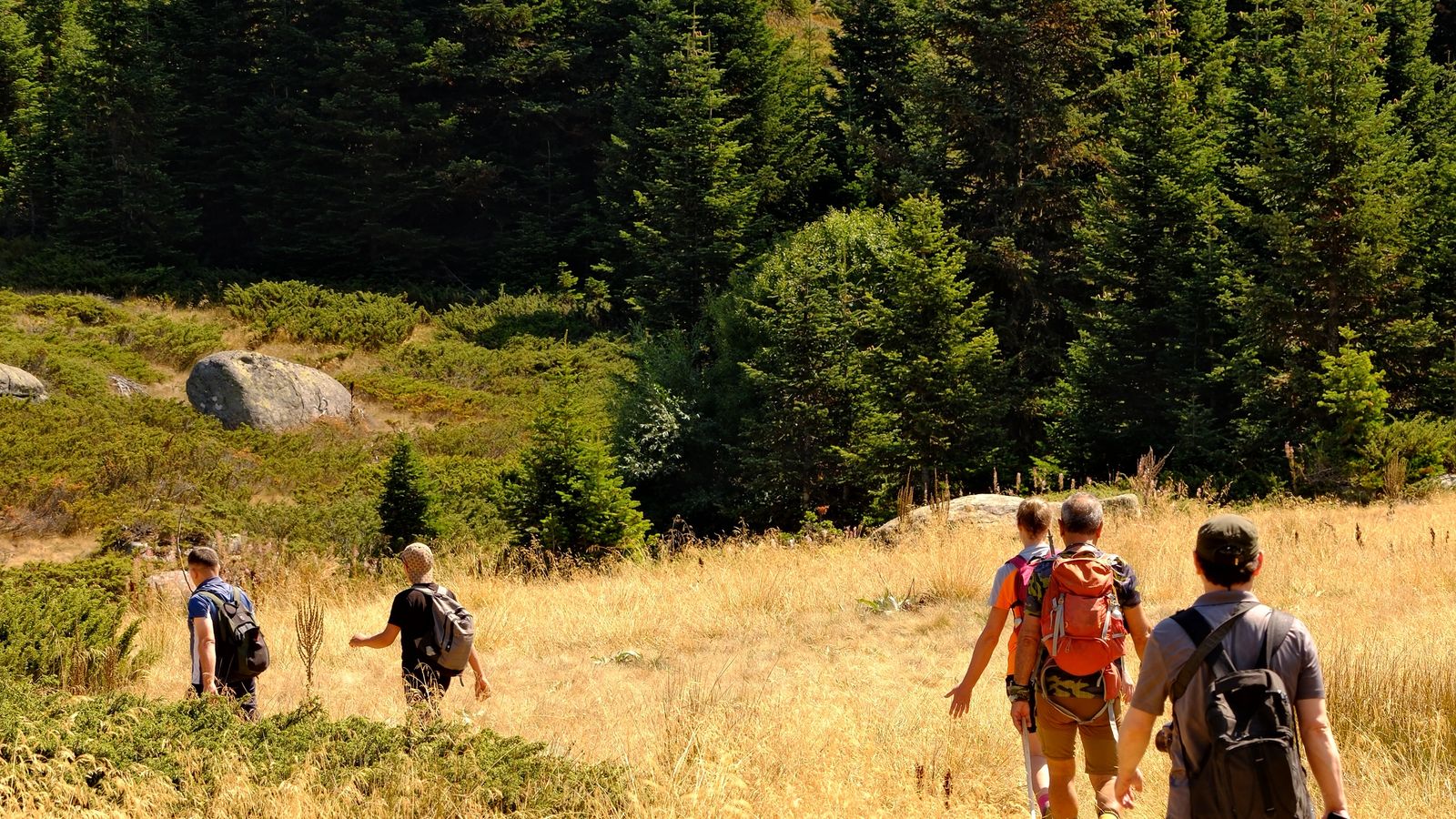 Group of hikers on a mountain trail for a travel update about Mt. Fuji Shizuoka-side climbing rules