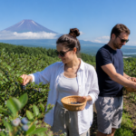 Travelers picking blueberries at a summer farm near Lake Yamanaka with Mount Fuji in the distance
