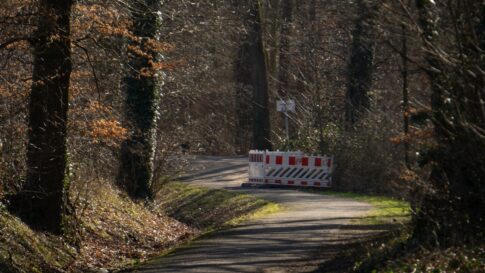 A forest road blocked by a safety barrier
