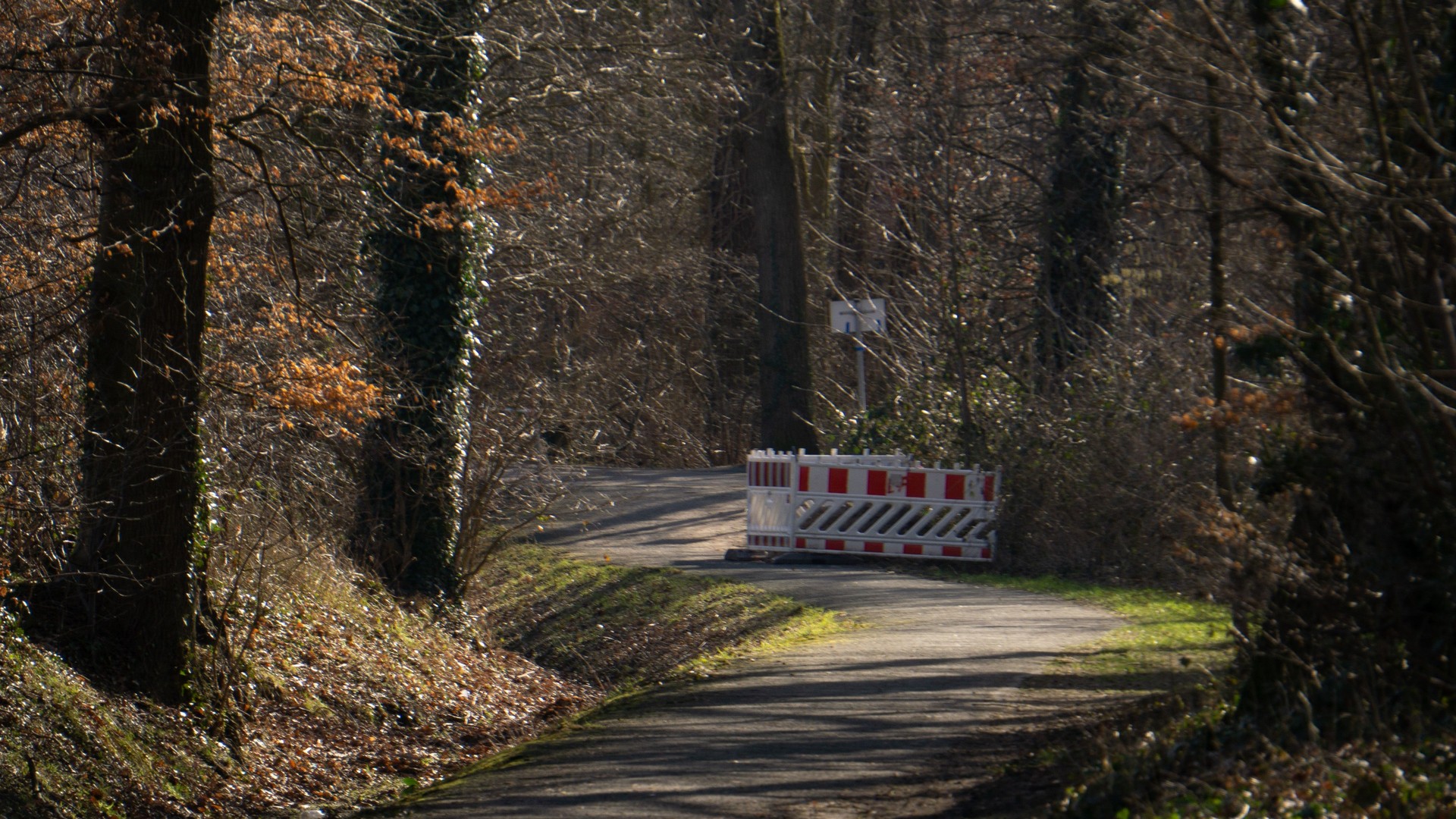 A forest road blocked by a safety barrier