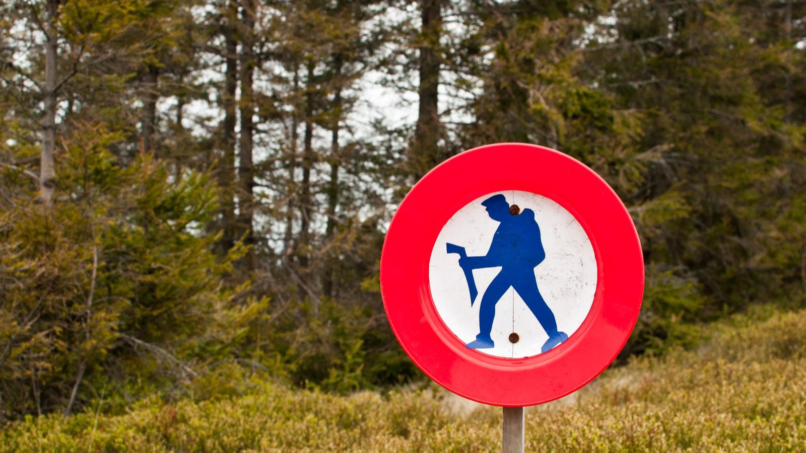 A red no-hiking symbol beside a forest trail